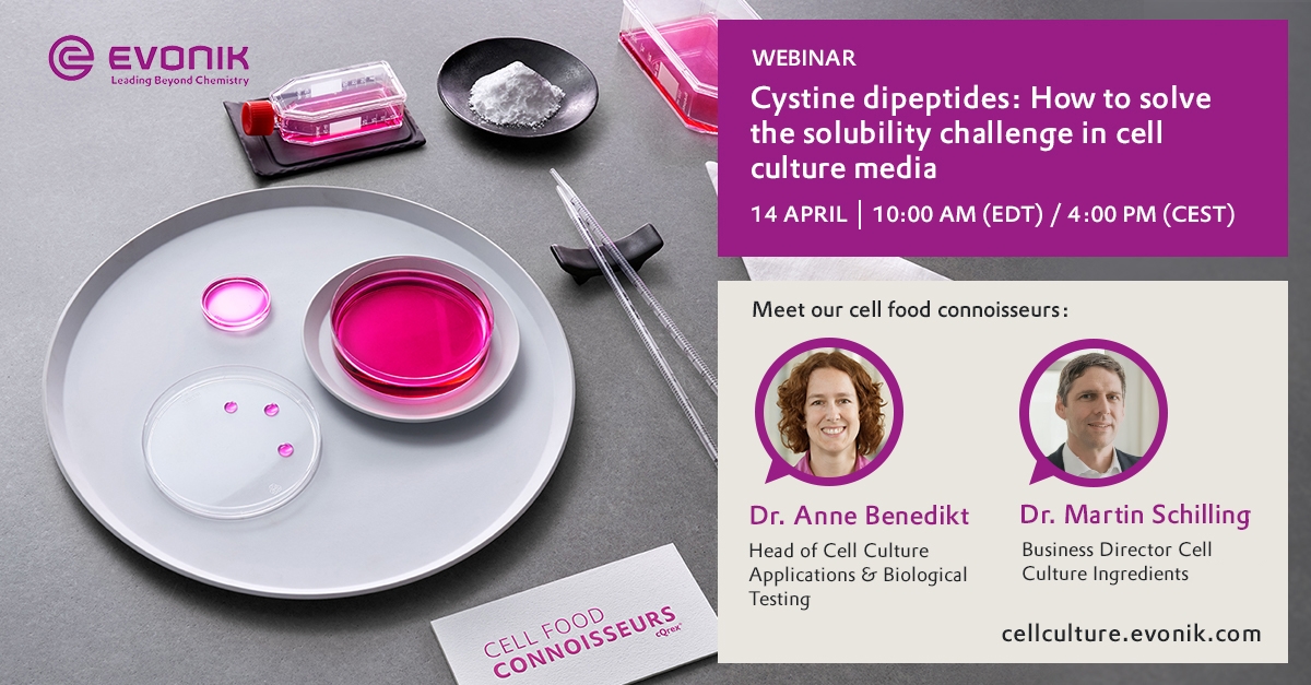 Cystine dipeptides – Solubility and performance advantages over free ...